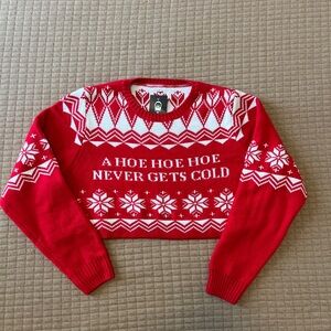 Men’s Dark Room Cropped Holiday Sweater
